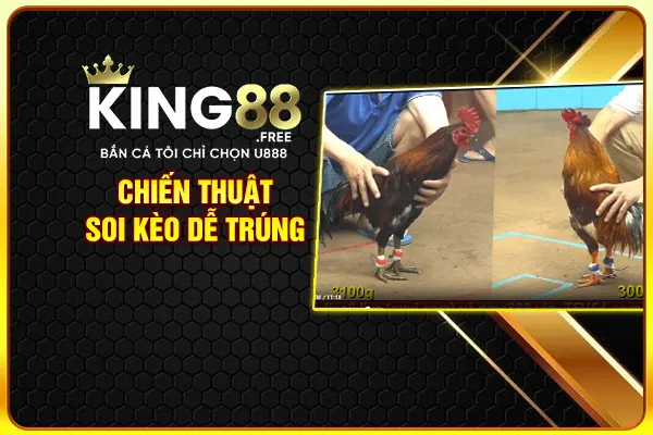 Chiến thuật soi kèo dễ trúng Chiến thuật soi kèo dễ trúng